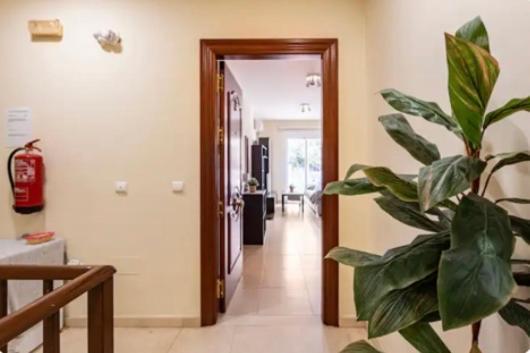Apartamento En Primera Linea De Playa El Palo Málaga Exterior foto